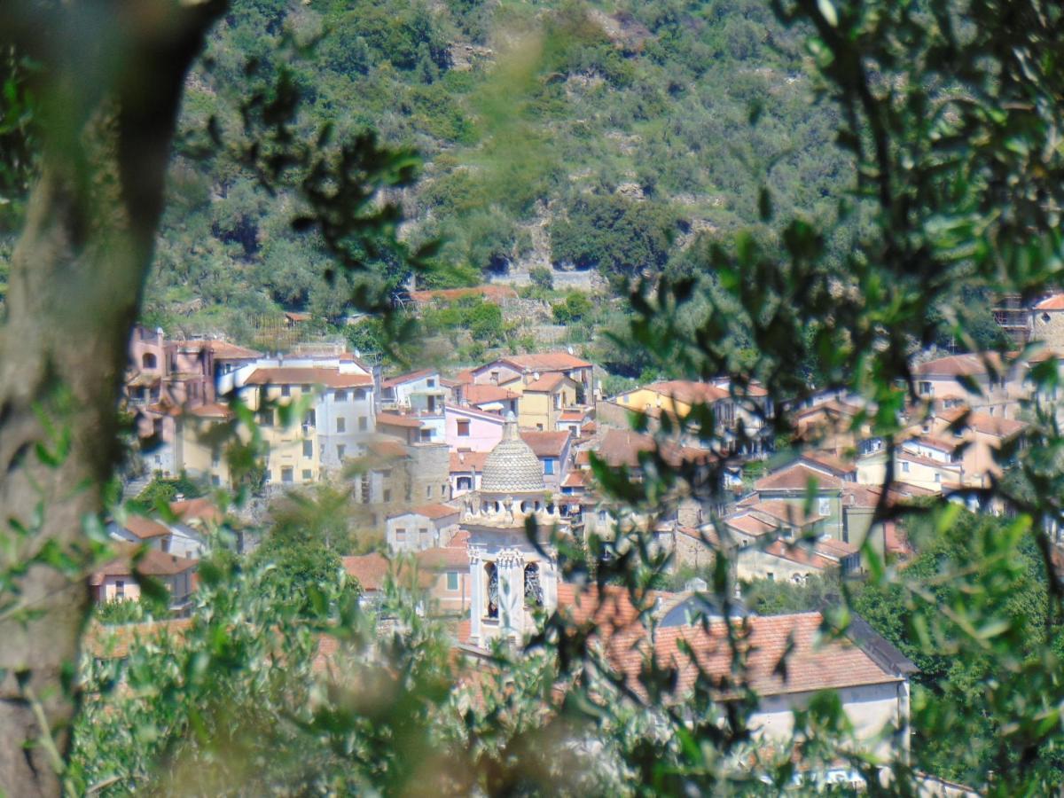 Divino Apartment Villa Viani Bagian luar foto